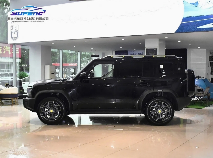 BYD BYD e5 2016 model 300 Comfort type